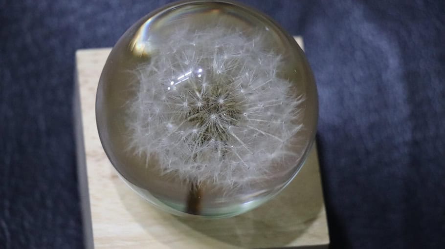 Crystal sichergestellt bei Kontrolle in Görlitz