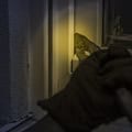 Einbruchsversuch mit verletztem Jugendlichen in Mittweida
