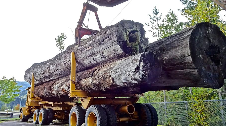 Außenspiegelkollision zwischen Lkw bei Nauwalde