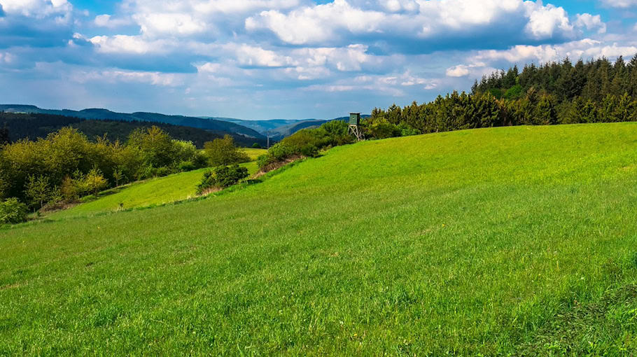 Hochstand in Klingenberg beschädigt und umgestürzt
