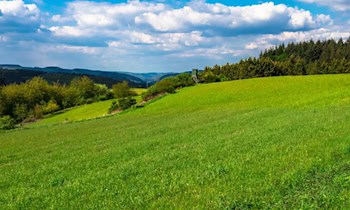 Hochstand in Klingenberg beschädigt und umgestürzt