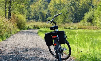 Gestohlenes E-Bike vor Berufsschule in Zittau