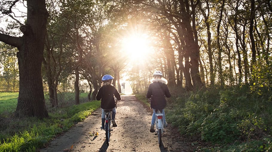 77-jähriger Radfahrer stürzt durch Hundezug in Zabeltitz