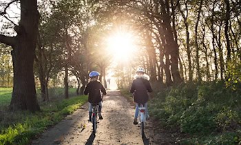 77-jähriger Radfahrer stürzt durch Hundezug in Zabeltitz
