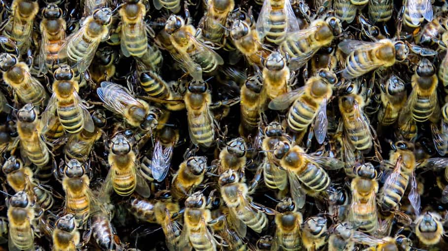 Versammlungen im Leipziger Zentrum: Pyrotechnik, Graffiti und Ermittlungen