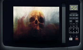 Mikrowellenbrand in Mehrfamilienhaus in Helbersdorf