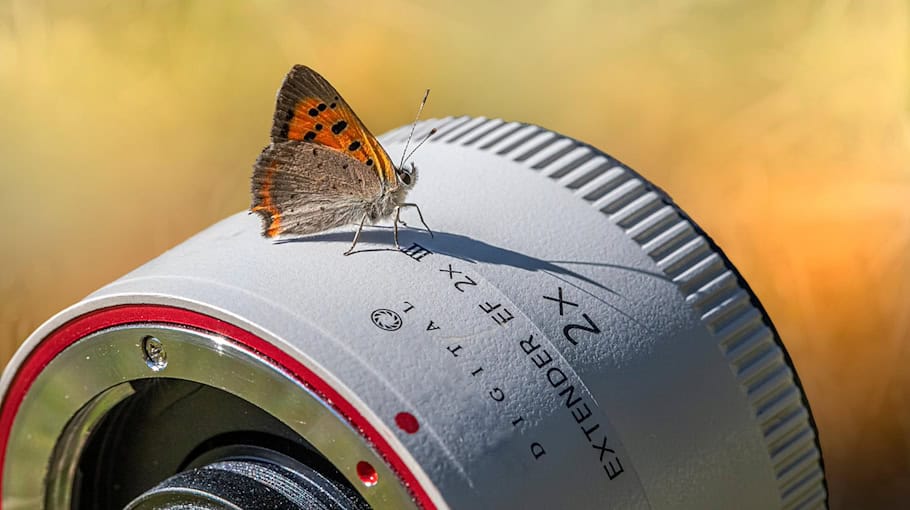 Buntmetalldiebstahl verursacht Wasserschaden in Hainichen