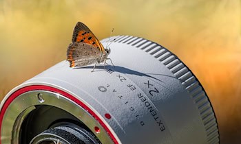 Buntmetalldiebstahl verursacht Wasserschaden in Hainichen