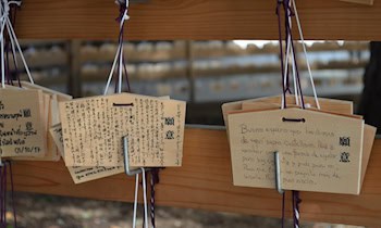 Laserattacke auf Polizeihubschrauber in Flöha