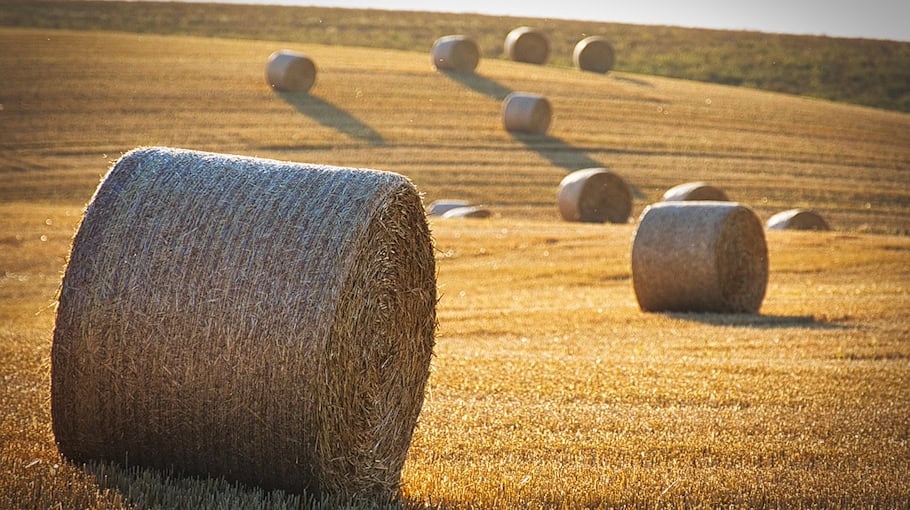 Heuballenbrand in Dörgenhausen – Sachschaden und Ermittlungen