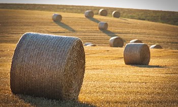 Heuballenbrand in Dörgenhausen – Sachschaden und Ermittlungen