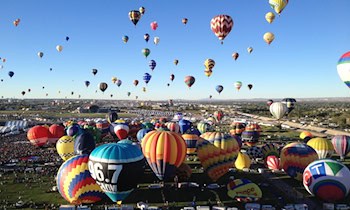 Ford Fiesta in Görlitz gestohlen