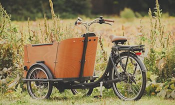 Lastenfahrrad in Görlitz gestohlen