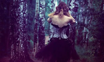 Mehrere Anzeigen nach Flucht bei Verkehrskontrolle in Plauen