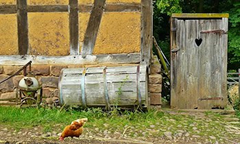 Mobiles Toilettenhäuschen in Dresden-Plauen abgebrannt