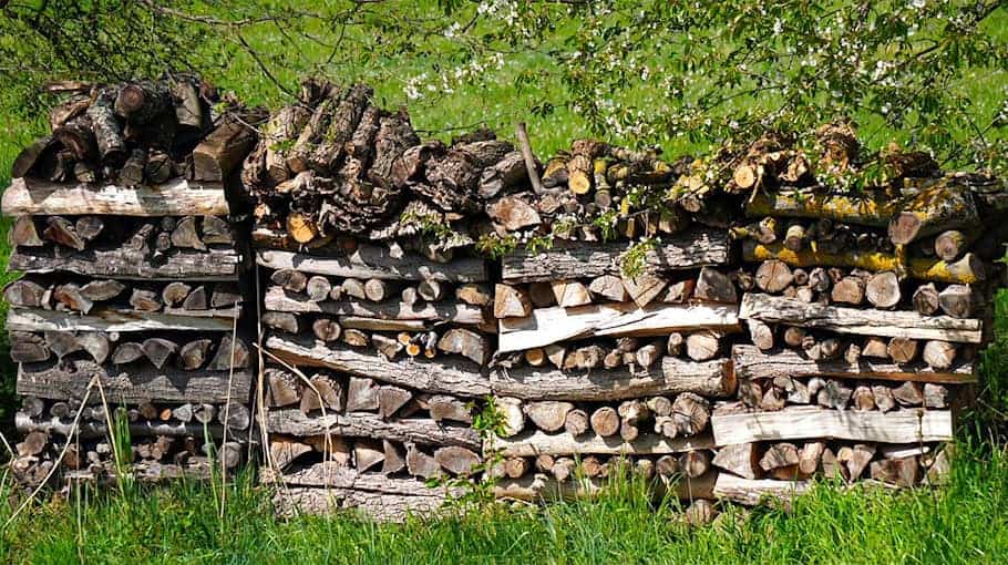 Unbekannter Holzdiebstahl in Neudorf entdeckt