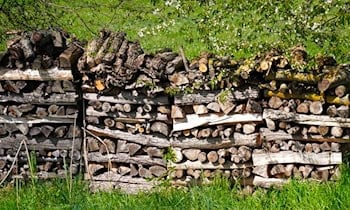 Unbekannter Holzdiebstahl in Neudorf entdeckt