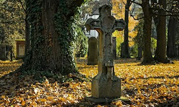 Vandalismus auf Bautzener Friedhof