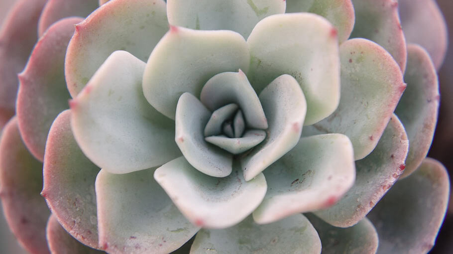 Jugendliche werfen Schneebälle auf Autos in Moritzburg