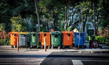 Mülltonnenbrand in Zwickau-Nordvorstadt