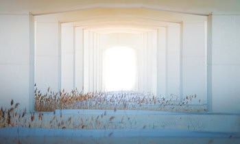 Zeugenaufruf nach Angriff auf Karl-Richter-Hirschberg-Brücke