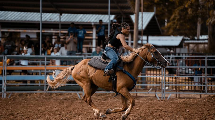 Autofahrer ohne Fahrerlaubnis in Meißen gestoppt