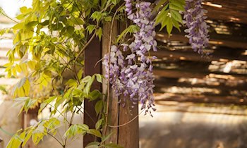 Gartenlaube in Syrau durch defekten Gasherd in Brand