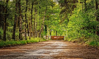 Schrankenanlage an Werdauer Straße beschädigt