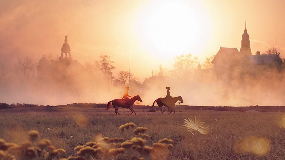 Vier schwarze Pferde in Bischofswerda gesichtet