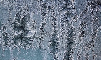 Mann beschädigt zahlreiche Autoscheiben in Dresden