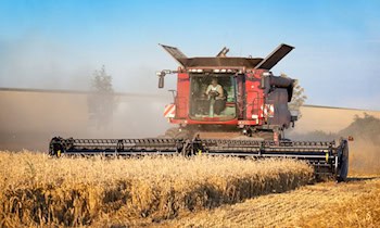 Diebstahl am Harvester in Köbeln