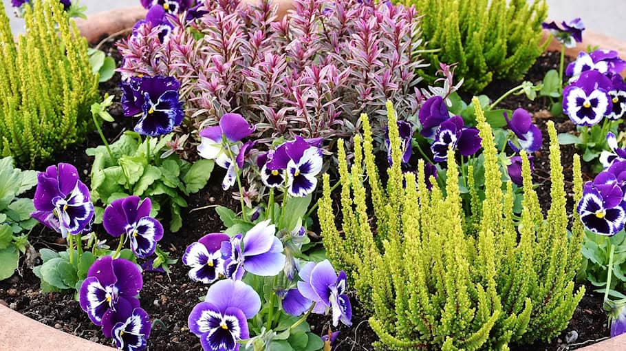 Pflanzkübel durch Böller beschädigt in Reichenbach