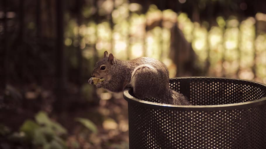 Mülltonnenbrand beschädigt Hausfassade in Leipzig-Volkmarsdorf