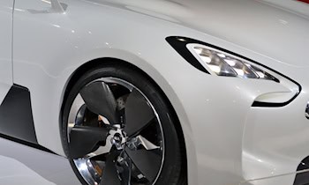 Kia Niro in Schloßchemnitz gestohlen