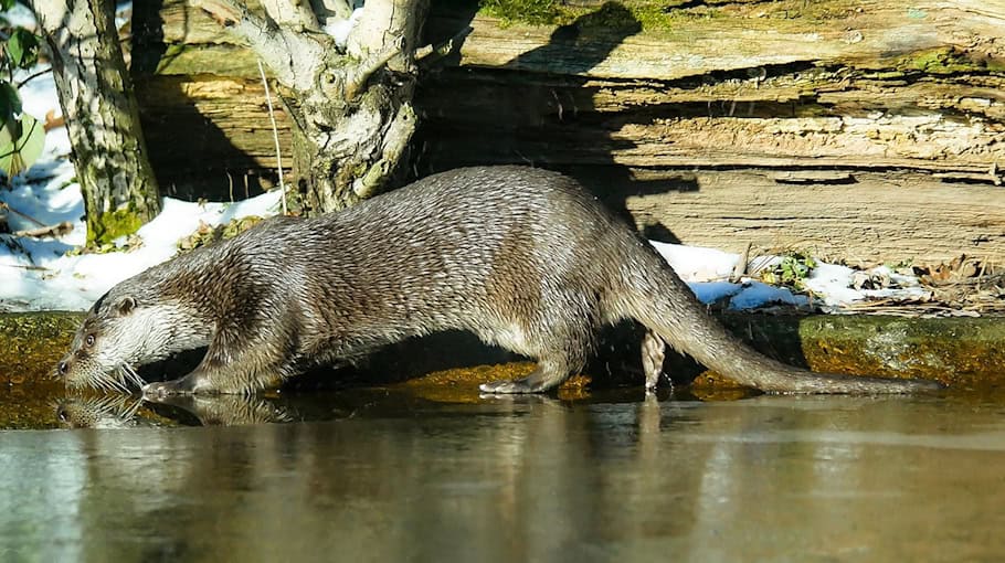 Mehrere Unfälle durch plötzliches Glatteis in Schwarzenberg