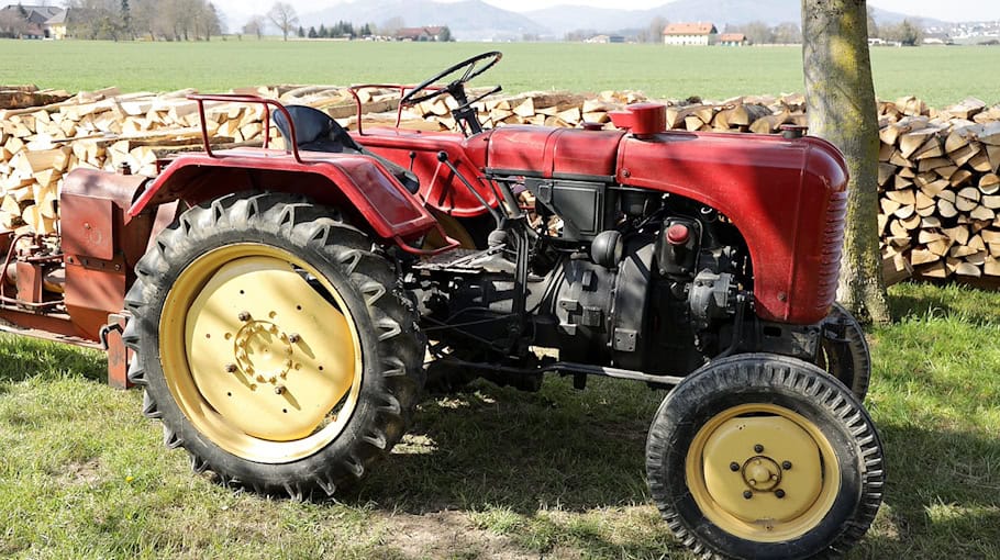 Holzspalter in Wiesen gestohlen