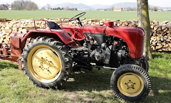 Holzspalter in Wiesen gestohlen