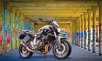 Politische Schmierereien in Freiberg