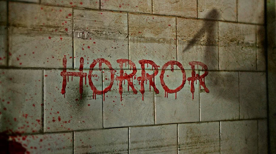 Mann in Pkw verfrachtet: Angriff in Plauen-Haselbrunn