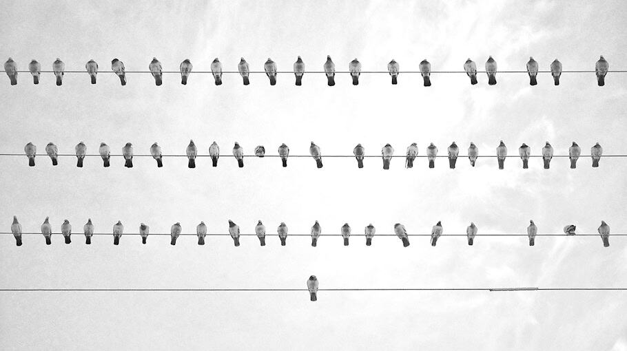 Kabeldiebstahl auf Baustellen in Dresden