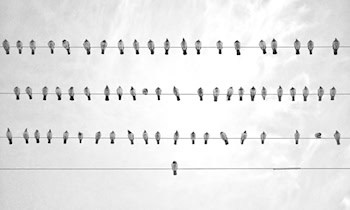 Kabeldiebstahl auf Baustellen in Dresden