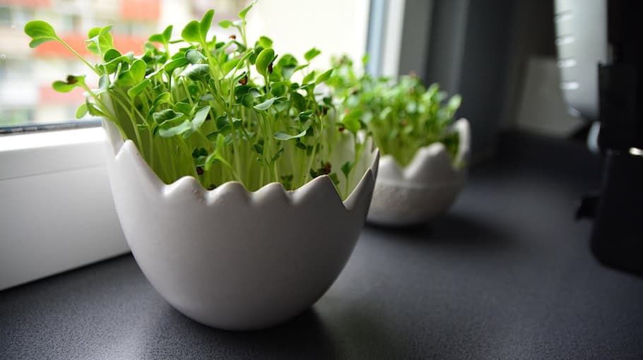 Drei Fensterbretter in Meißen gestohlen