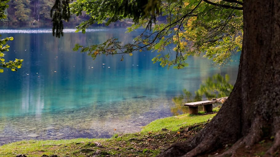 Holzbank an Bushaltestelle in Görlitz beschmiert