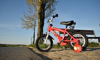 Kinderfahrrad aus Holzzaun gestohlen in Meißen