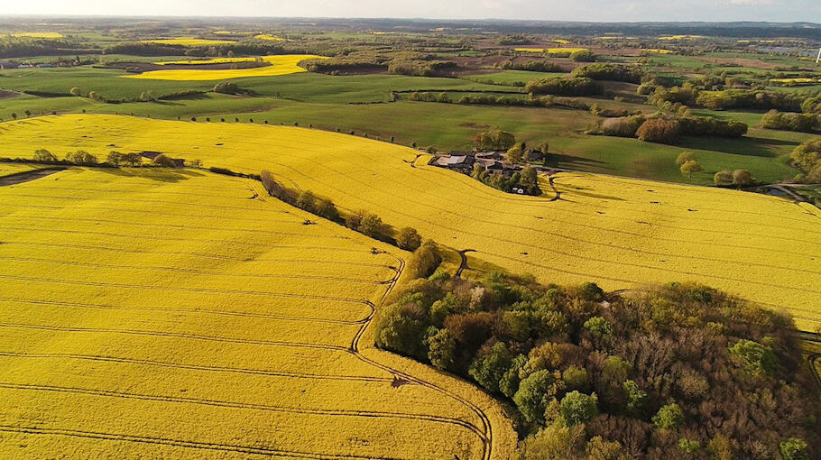 Polizeieinsatz beim Sachsenpokal in Leipzig