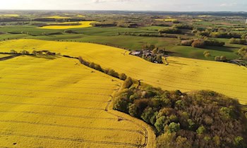Polizeieinsatz beim Sachsenpokal in Leipzig