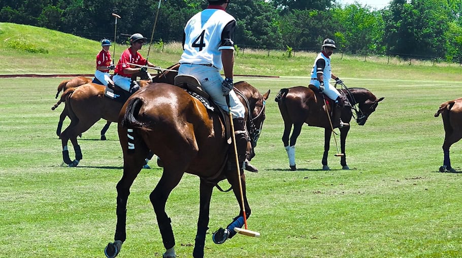 Zeugenaufruf: Sachbeschädigung an VW Polo in Plauen