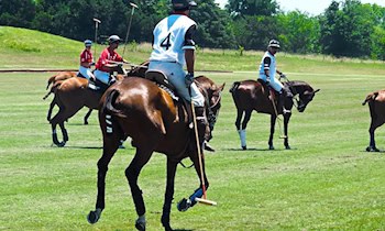 Zeugenaufruf: Sachbeschädigung an VW Polo in Plauen