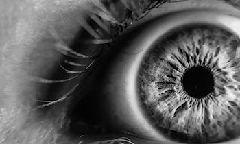 Vermisstenfahndung beendet – Elfjähriger wohlauf