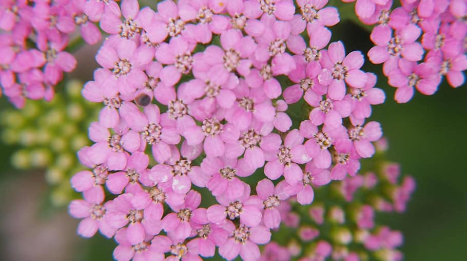 Einbruch in Gartenlaube in Görlitz